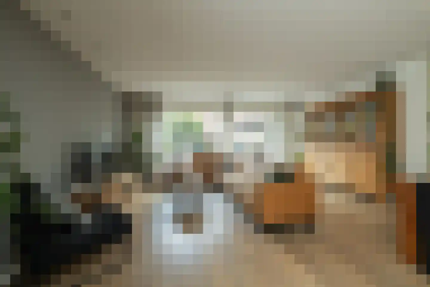 Blauwe Vinvis 11 Naaldwijk thumbnail 10
