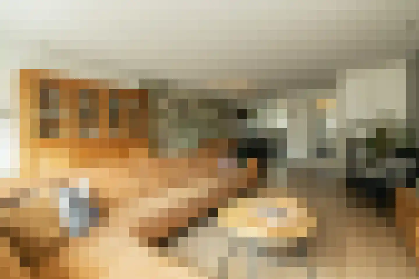 Blauwe Vinvis 11 Naaldwijk thumbnail 11