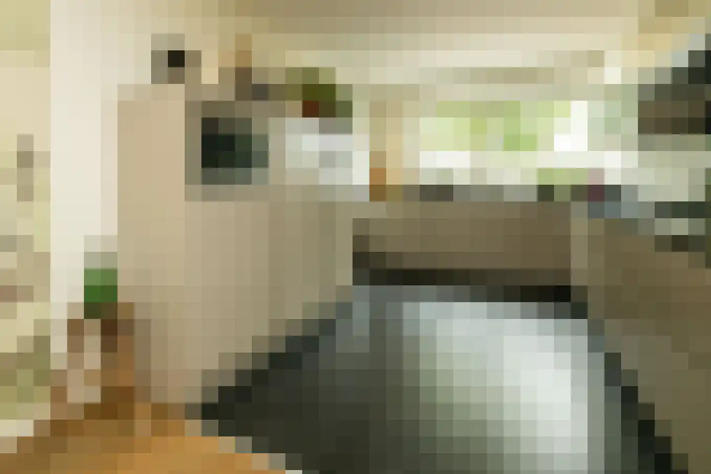 Blauwe Vinvis 11 Naaldwijk thumbnail 15