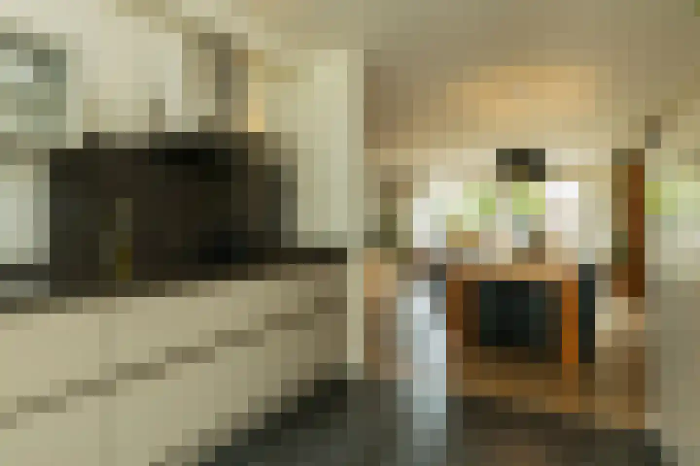 Blauwe Vinvis 11 Naaldwijk thumbnail 16
