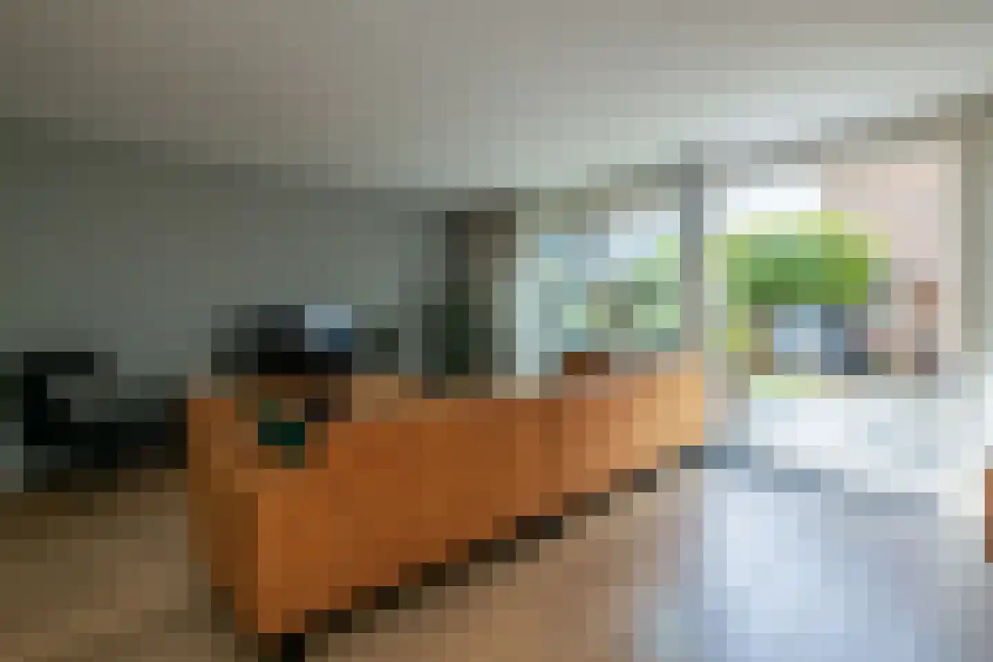 Blauwe Vinvis 11 Naaldwijk thumbnail 18