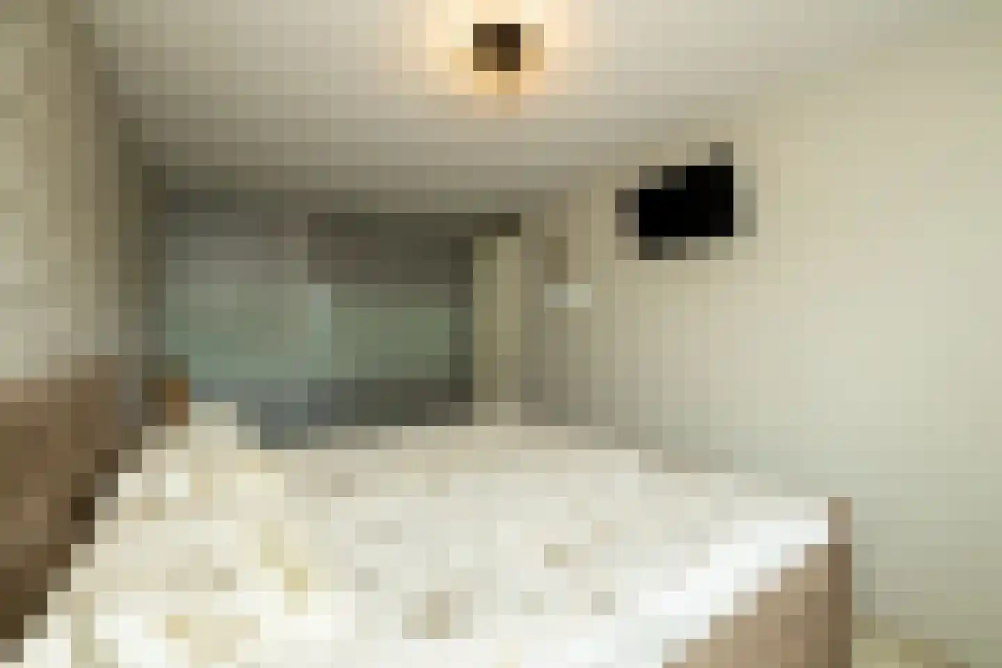 Blauwe Vinvis 11 Naaldwijk thumbnail 22