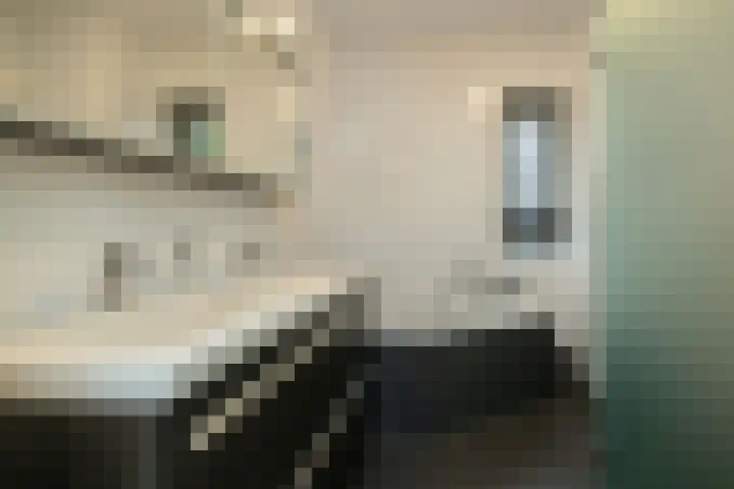 Blauwe Vinvis 11 Naaldwijk thumbnail 23