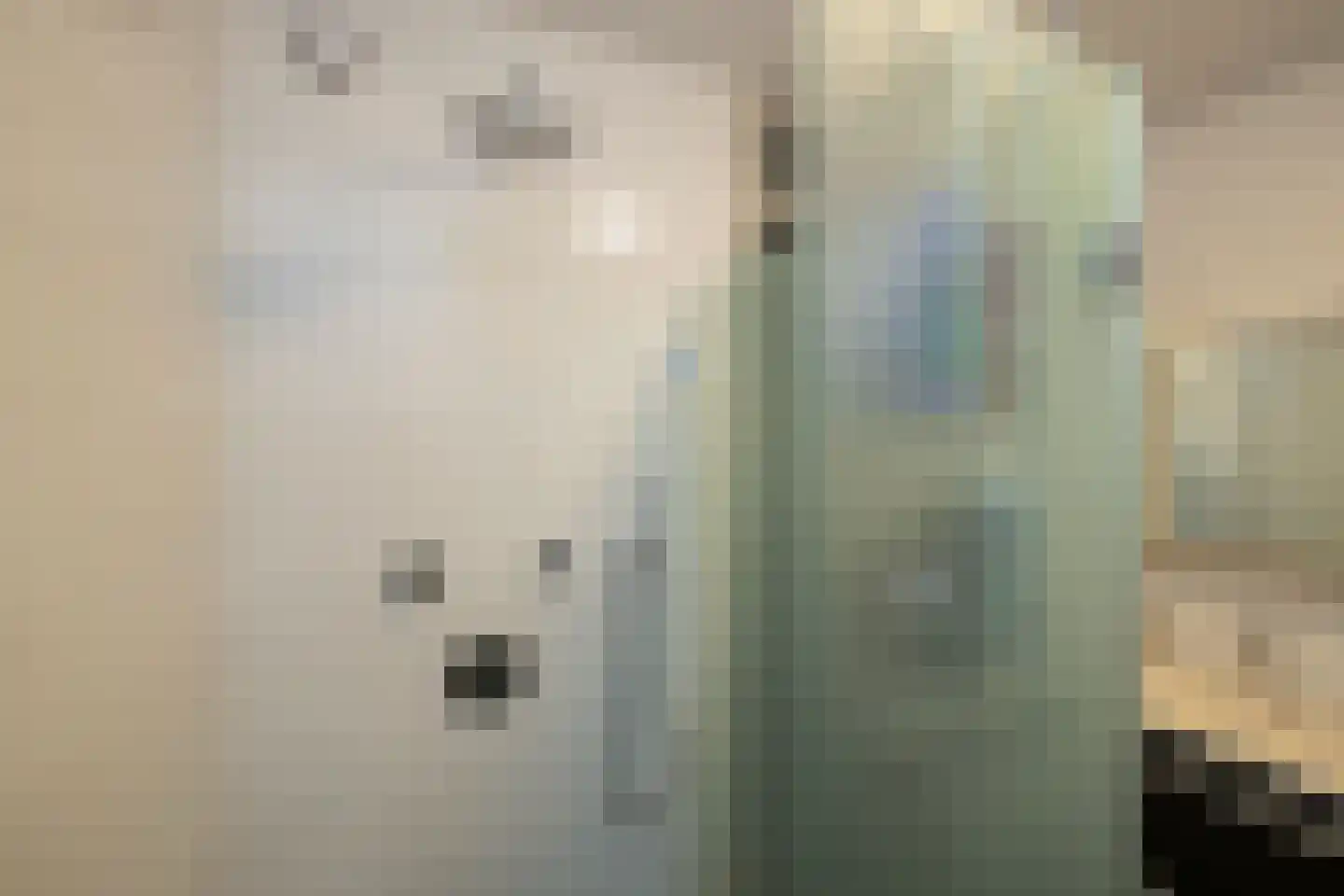 Blauwe Vinvis 11 Naaldwijk thumbnail 24