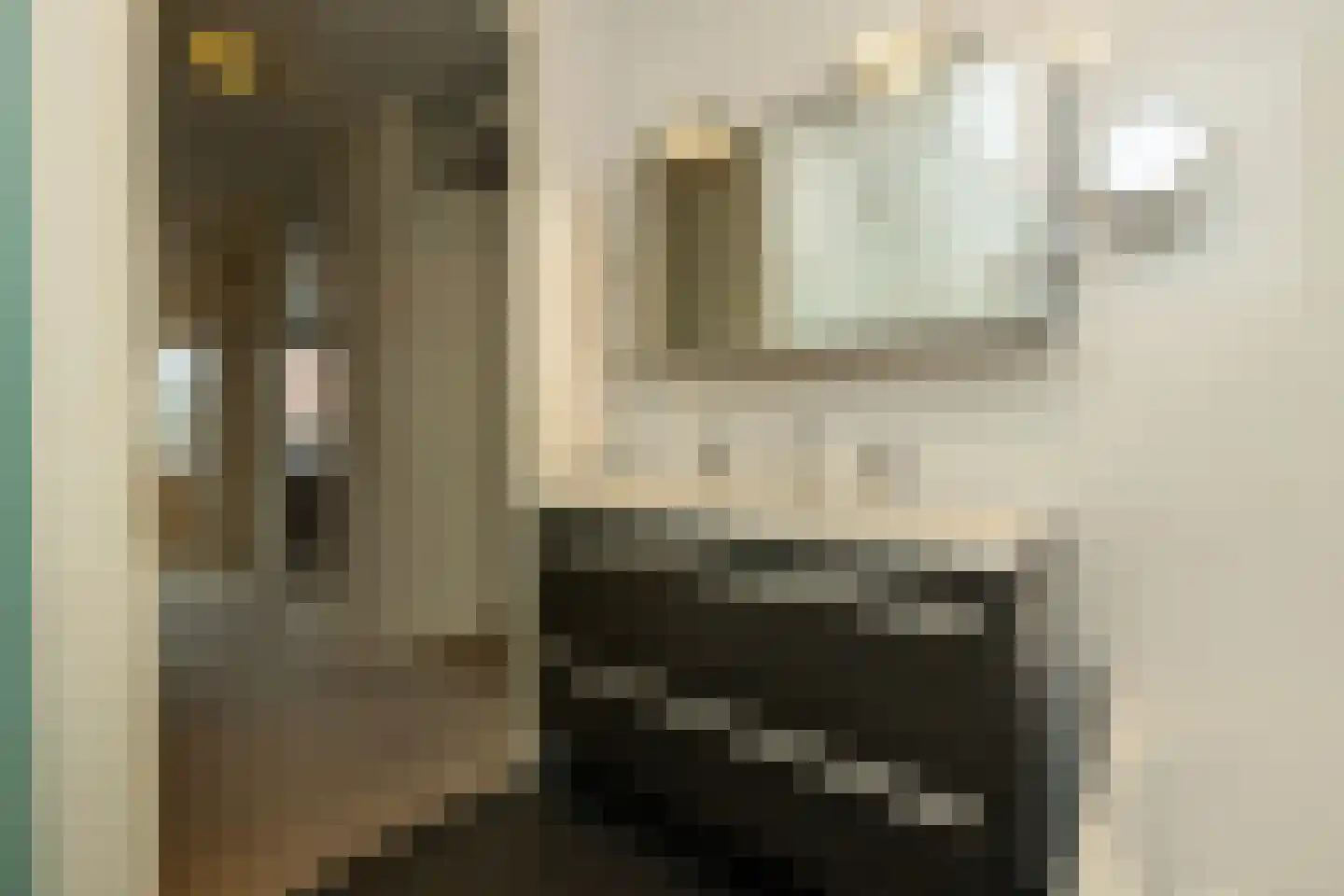 Blauwe Vinvis 11 Naaldwijk thumbnail 25