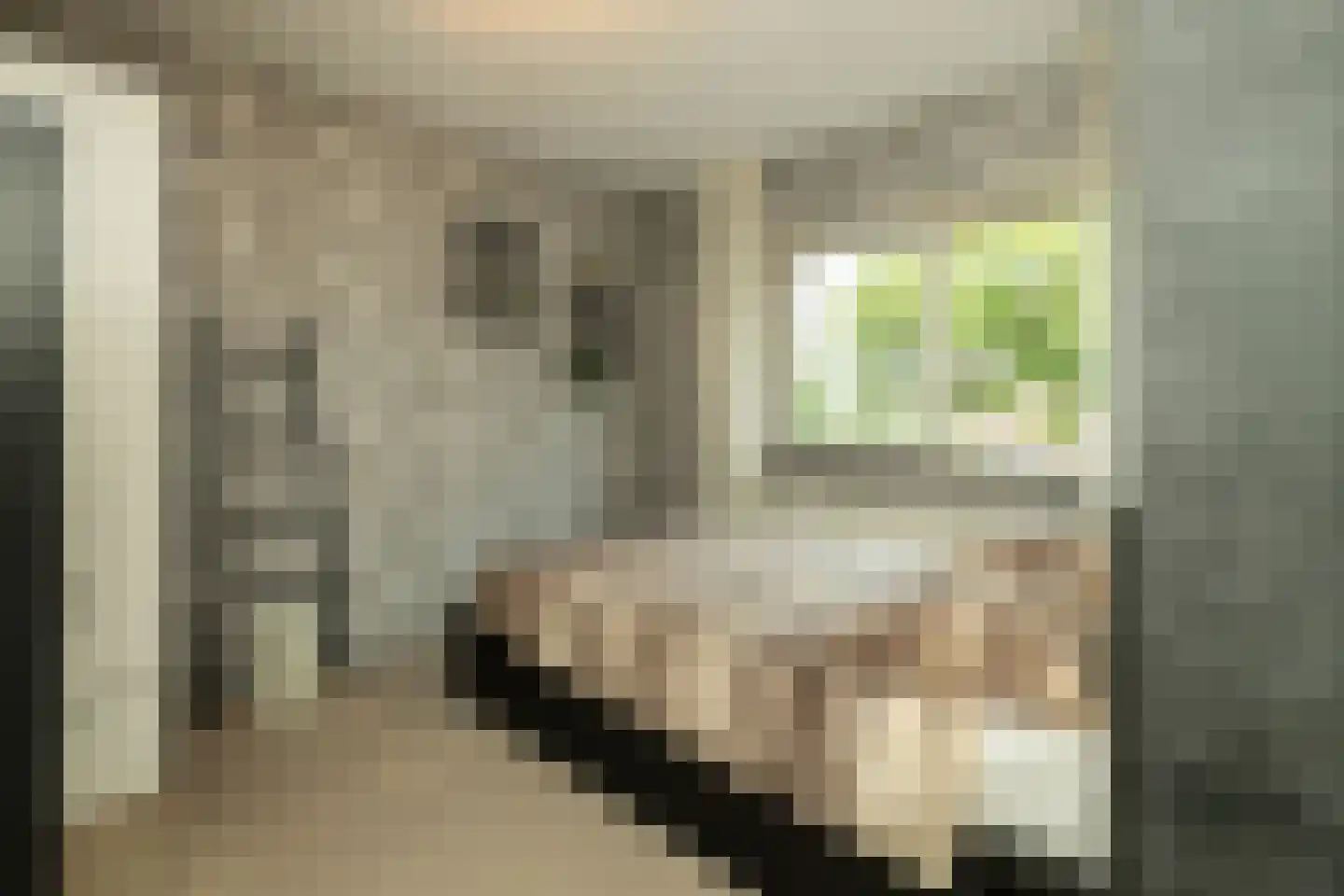 Blauwe Vinvis 11 Naaldwijk thumbnail 26