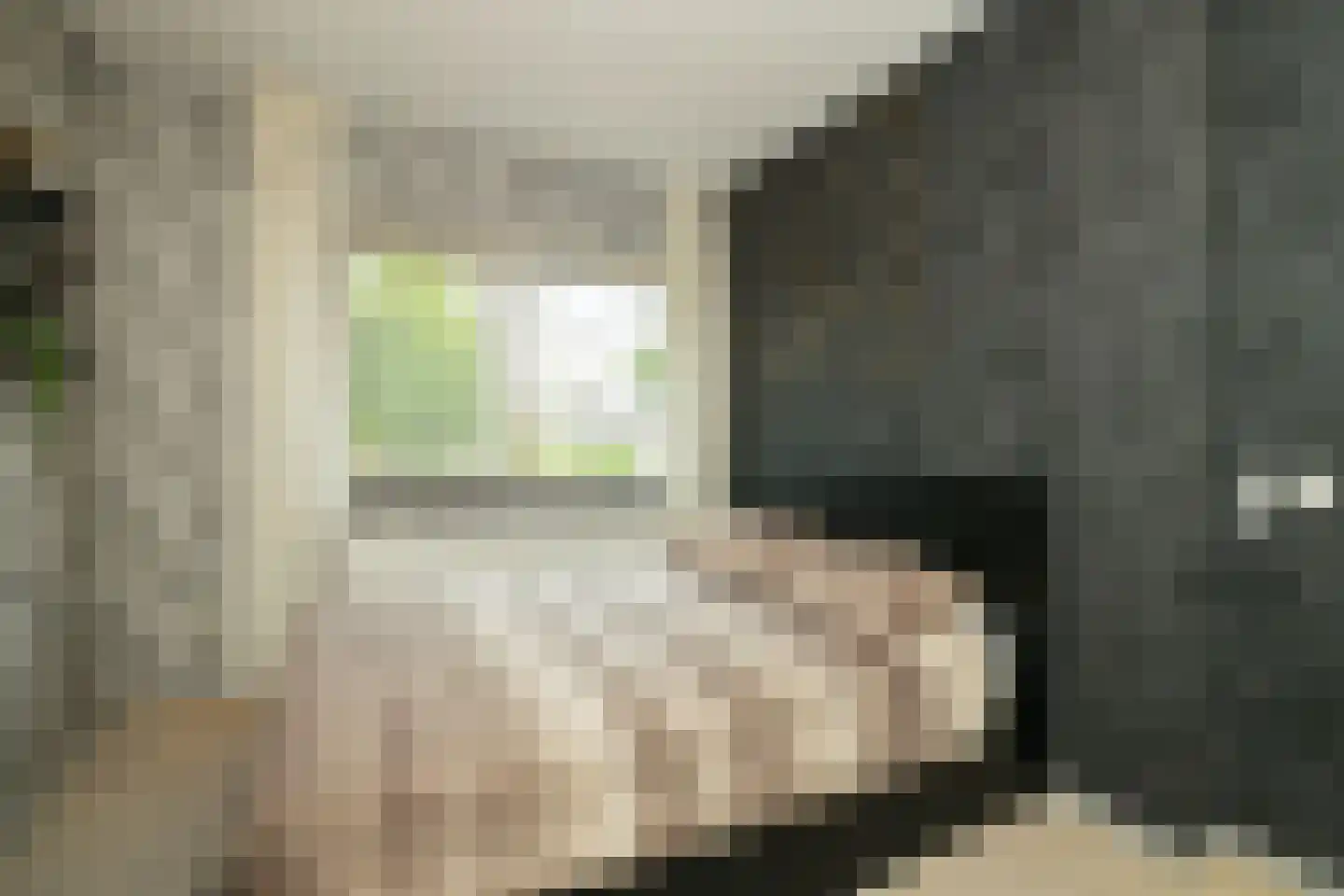 Blauwe Vinvis 11 Naaldwijk thumbnail 27
