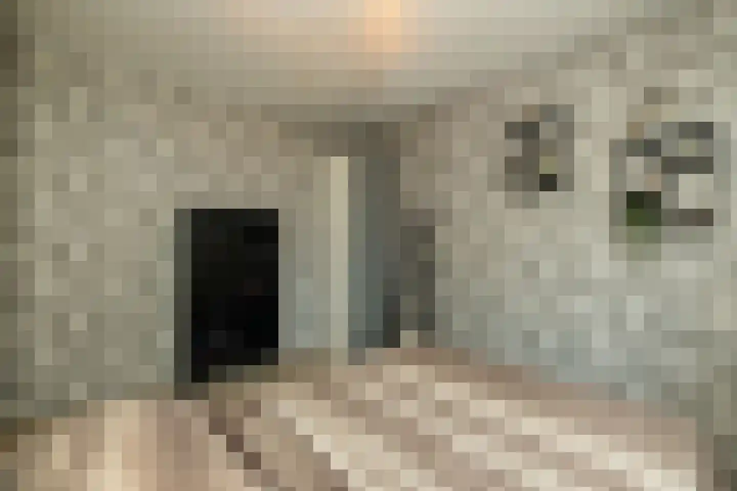 Blauwe Vinvis 11 Naaldwijk thumbnail 28
