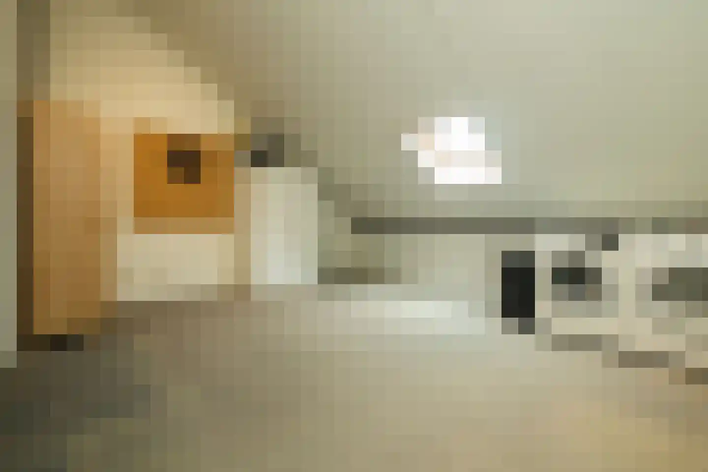 Blauwe Vinvis 11 Naaldwijk thumbnail 31