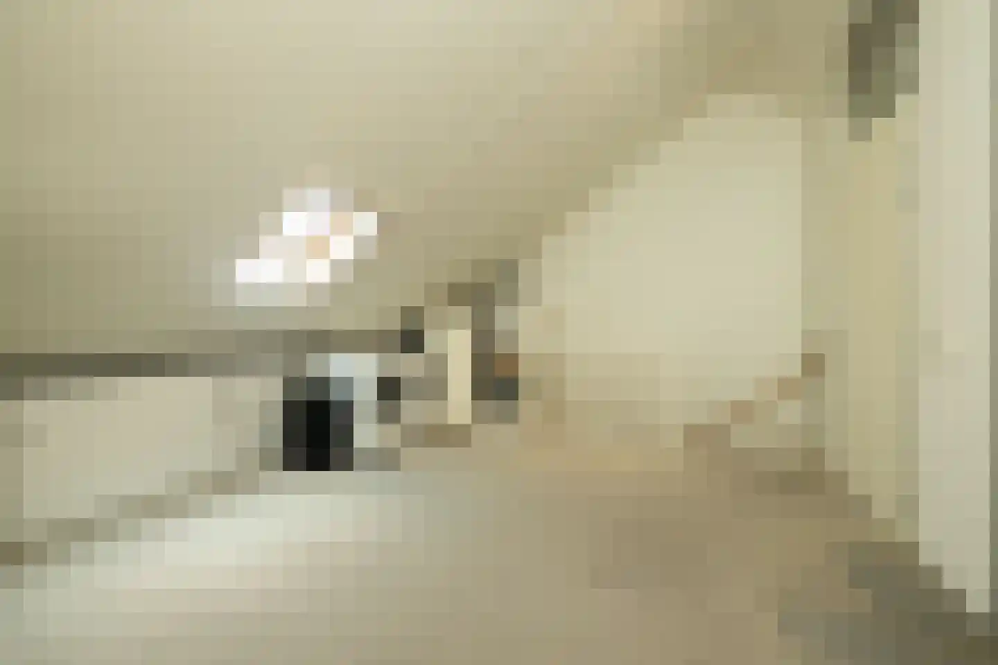 Blauwe Vinvis 11 Naaldwijk thumbnail 32