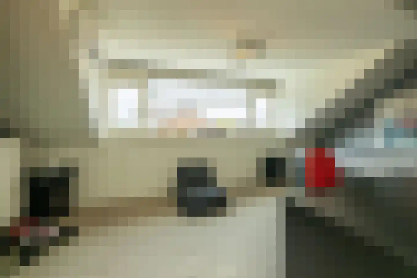 Blauwe Vinvis 11 Naaldwijk thumbnail 33