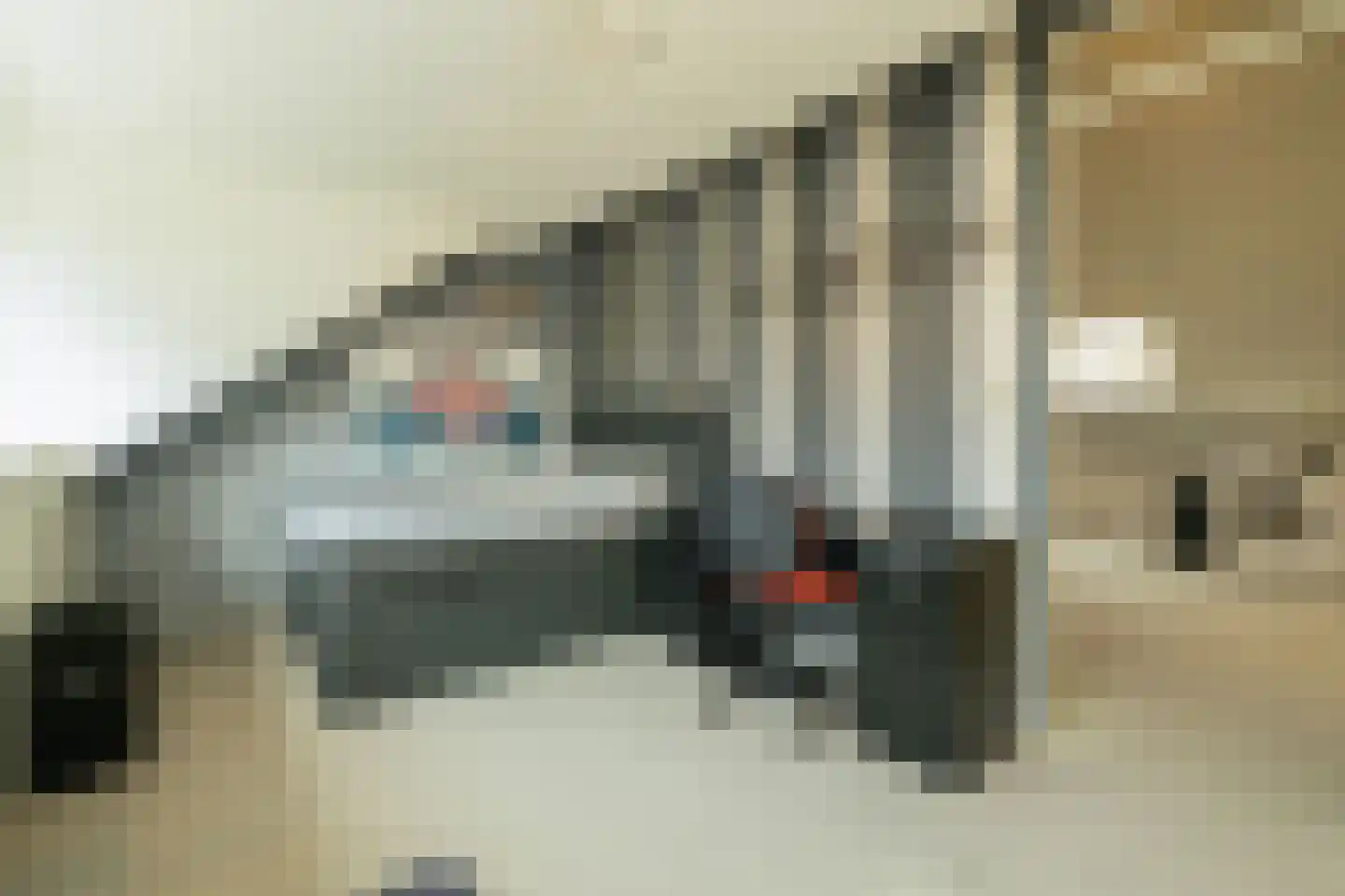 Blauwe Vinvis 11 Naaldwijk thumbnail 34