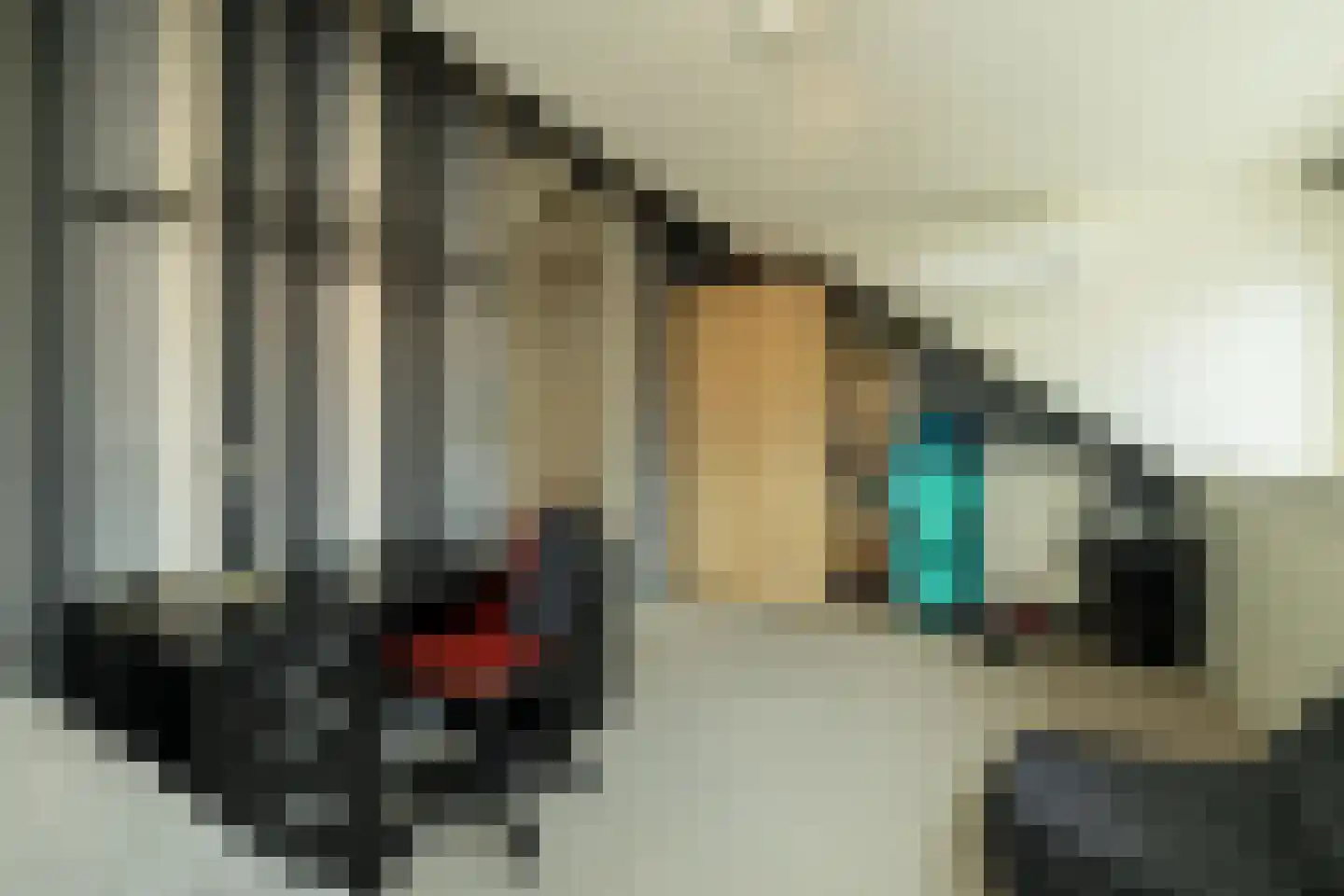 Blauwe Vinvis 11 Naaldwijk thumbnail 35