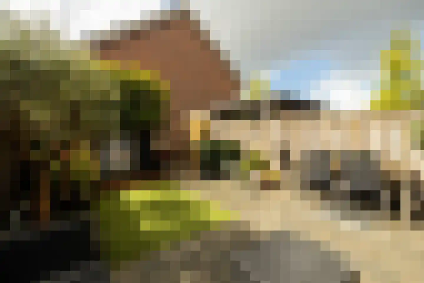 Blauwe Vinvis 11 Naaldwijk thumbnail 36