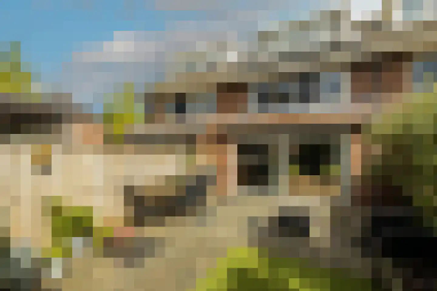 Blauwe Vinvis 11 Naaldwijk thumbnail 37