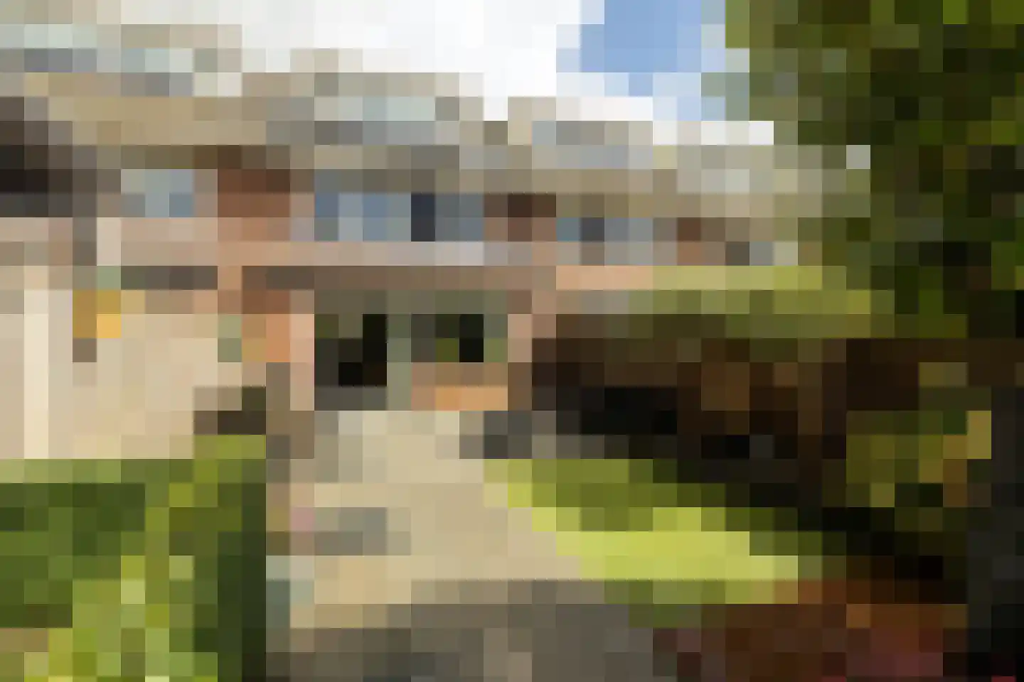 Blauwe Vinvis 11 Naaldwijk thumbnail 38