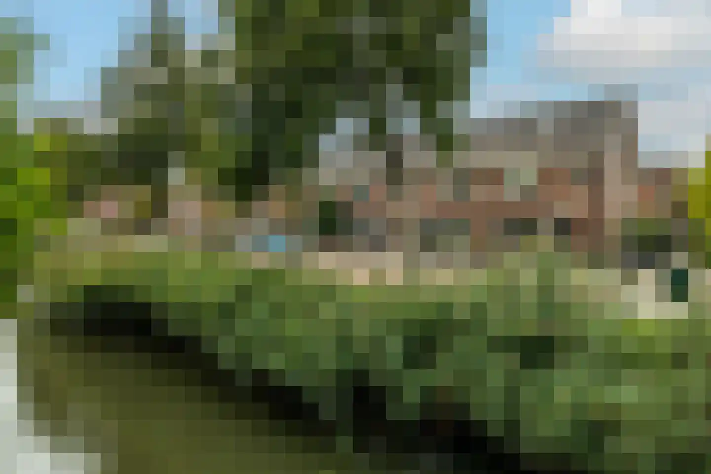 Blauwe Vinvis 11 Naaldwijk thumbnail 6