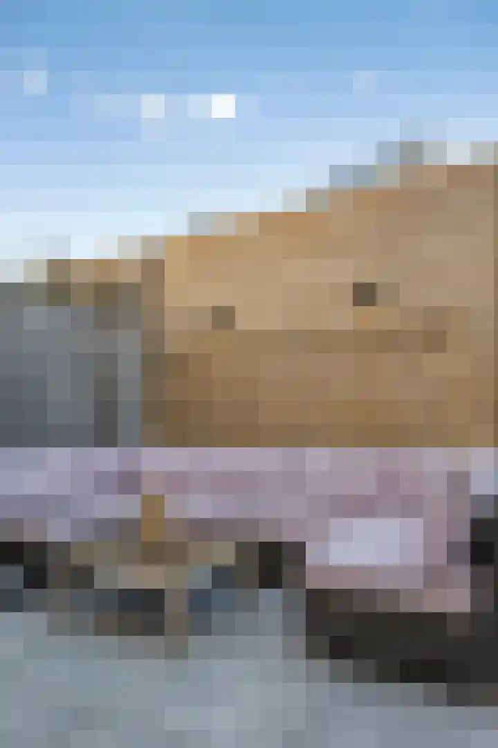 Blauwe wijngaardrank 30 Wateringen thumbnail 15