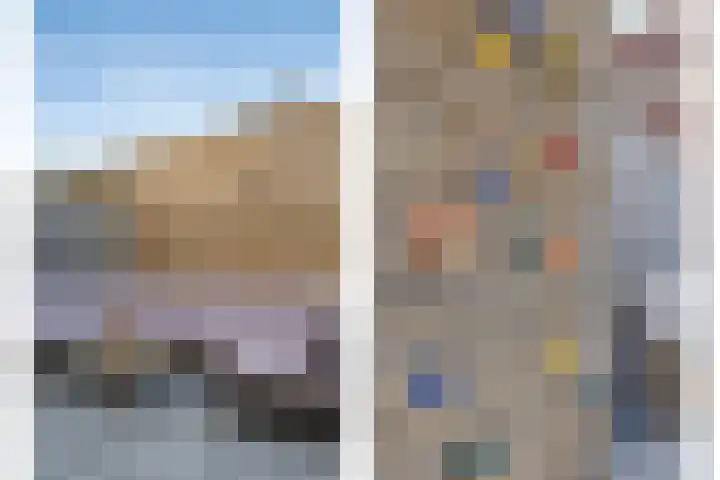 Blauwe wijngaardrank 30 Wateringen thumbnail 16