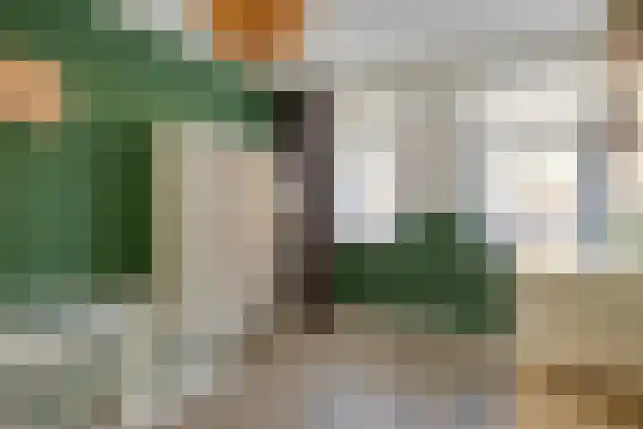 Blauwe wijngaardrank 30 Wateringen thumbnail 20