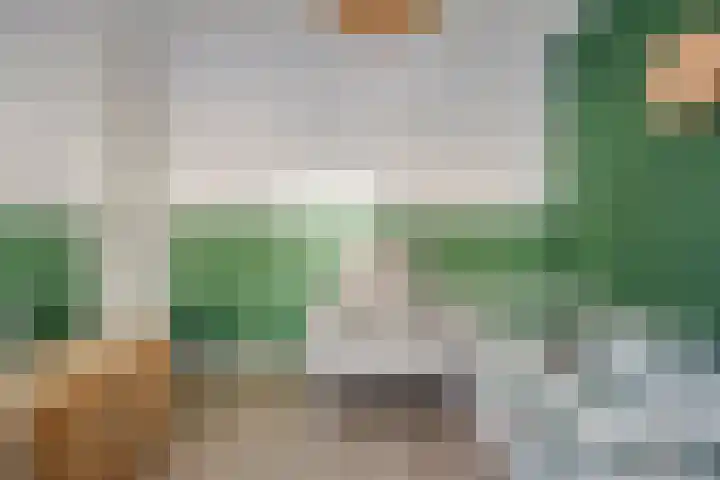 Blauwe wijngaardrank 30 Wateringen thumbnail 21