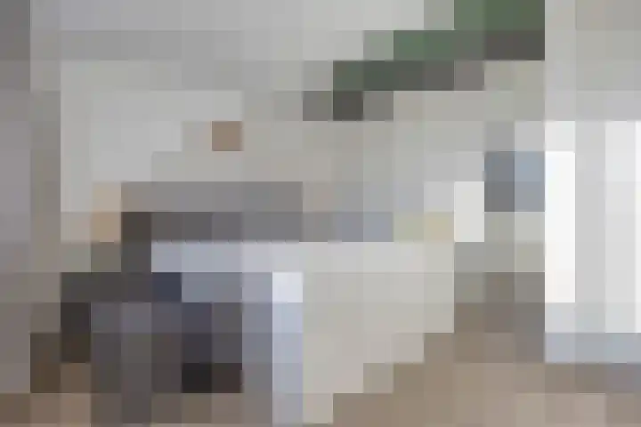 Blauwe wijngaardrank 30 Wateringen thumbnail 29