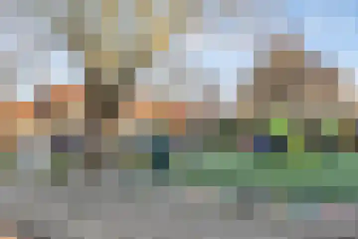 Blauwe wijngaardrank 30 Wateringen thumbnail 36