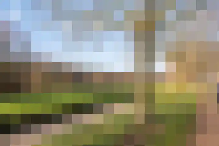 Blauwe wijngaardrank 30 Wateringen thumbnail 38