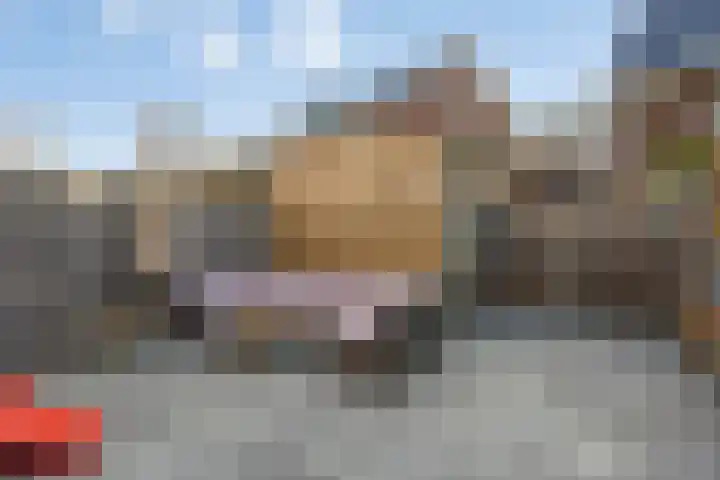 Blauwe wijngaardrank 30 Wateringen thumbnail 4