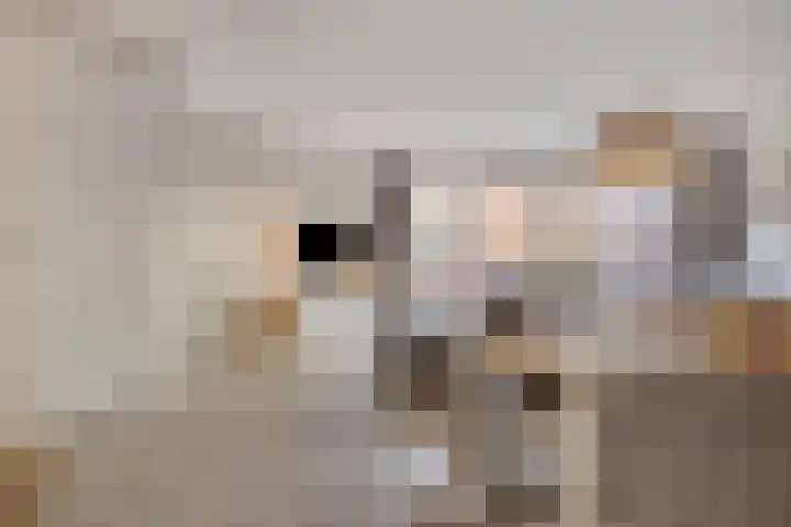 Blauwe wijngaardrank 30 Wateringen thumbnail 8