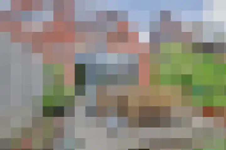 Blauwe Zegge 22 Den Haag thumbnail 20