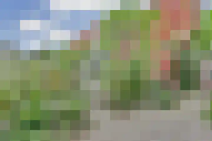 Blauwe Zegge 22 Den Haag thumbnail 21