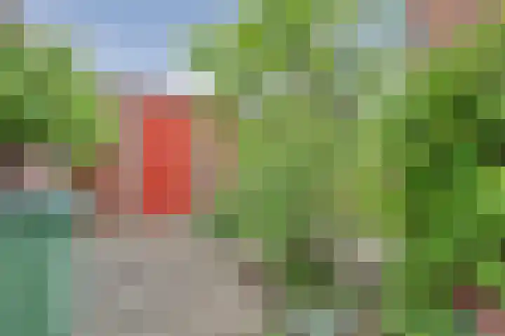 Blauwe Zegge 22 Den Haag thumbnail 22
