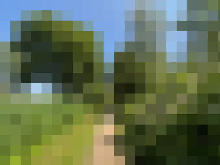 Blauwe Zegge 22 Den Haag thumbnail 23