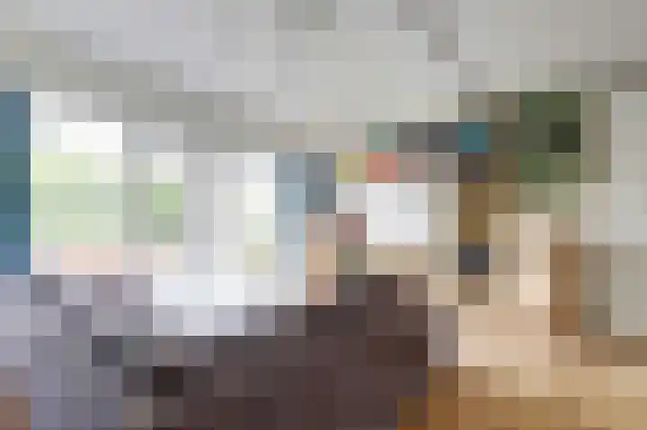 Blauwe Zegge 22 Den Haag thumbnail 6