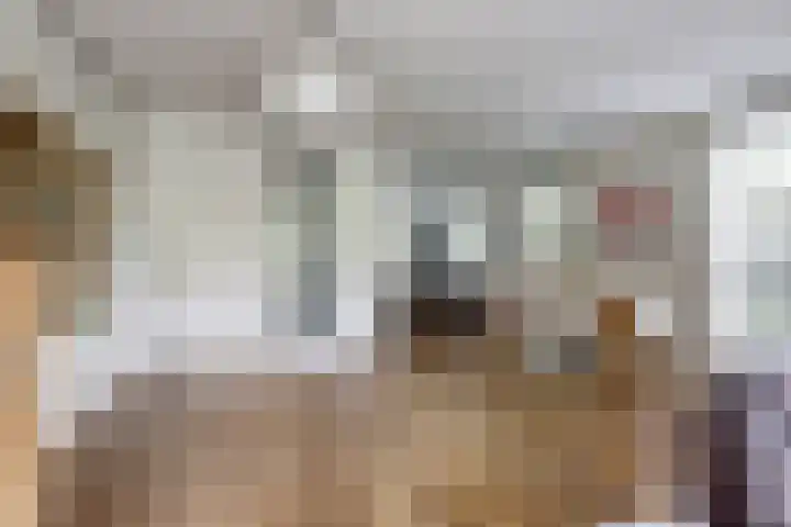 Blauwe Zegge 22 Den Haag thumbnail 7