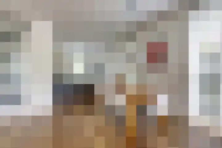 Blauwe Zegge 22 Den Haag thumbnail 8