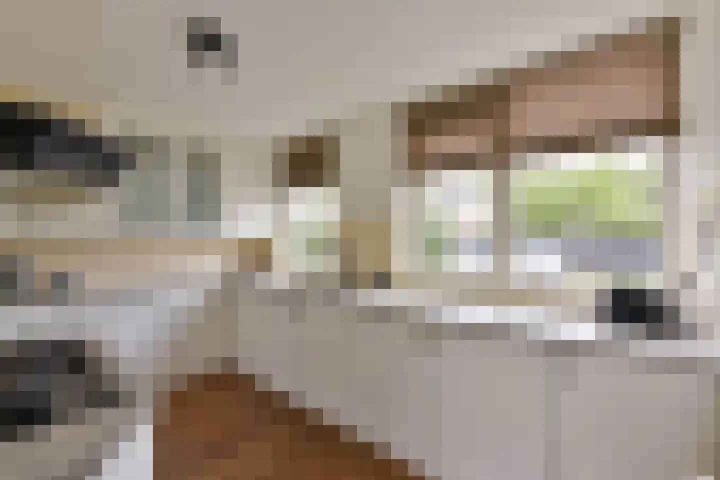 Blauwe Zegge 56 Wilnis thumbnail 10