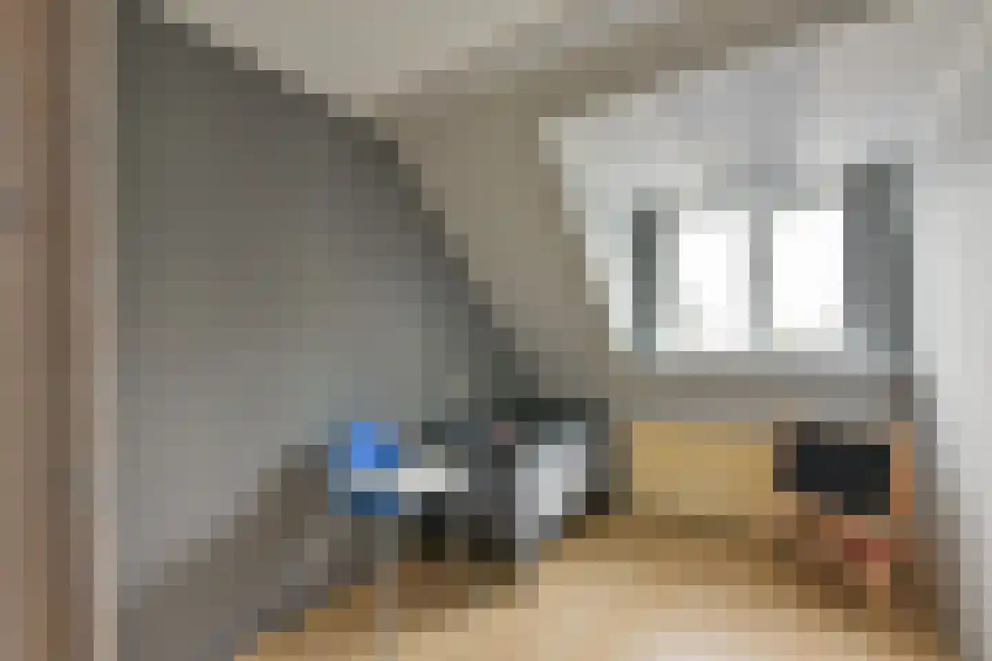 Blauwe Zegge 56 Wilnis thumbnail 13