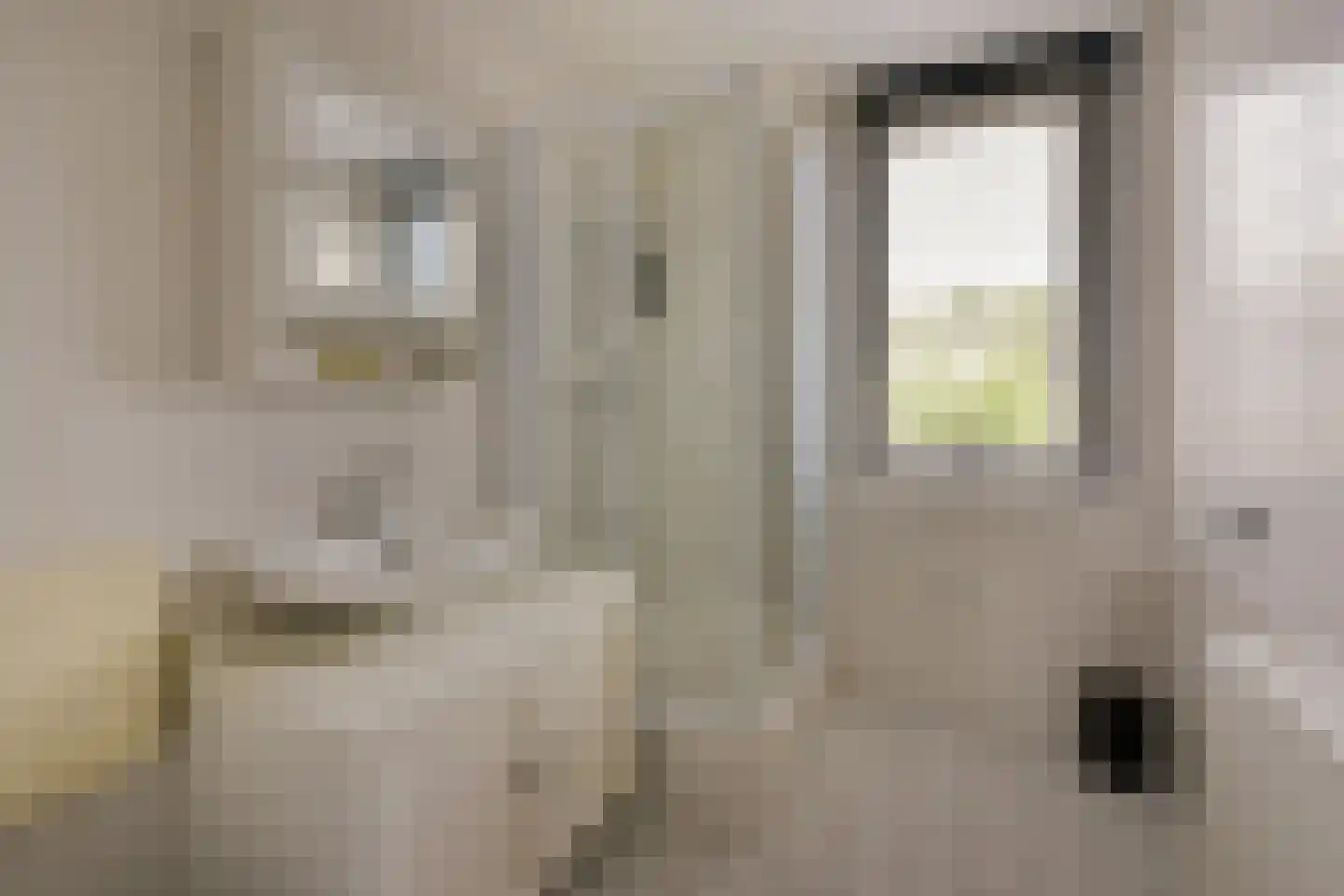Blauwe Zegge 56 Wilnis thumbnail 17
