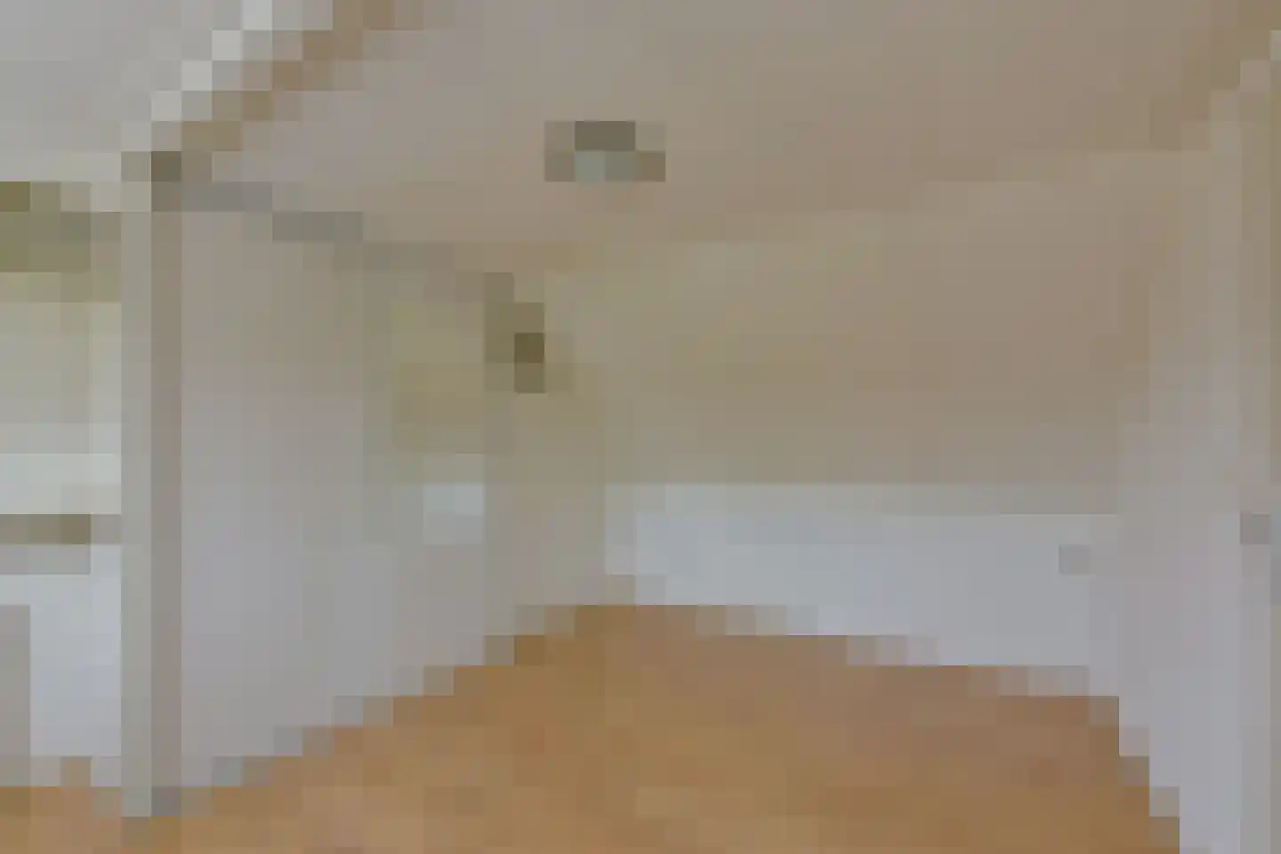 Blauwe Zegge 56 Wilnis thumbnail 20