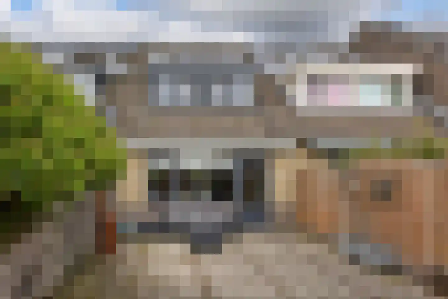 Blauwe Zegge 56 Wilnis thumbnail 21