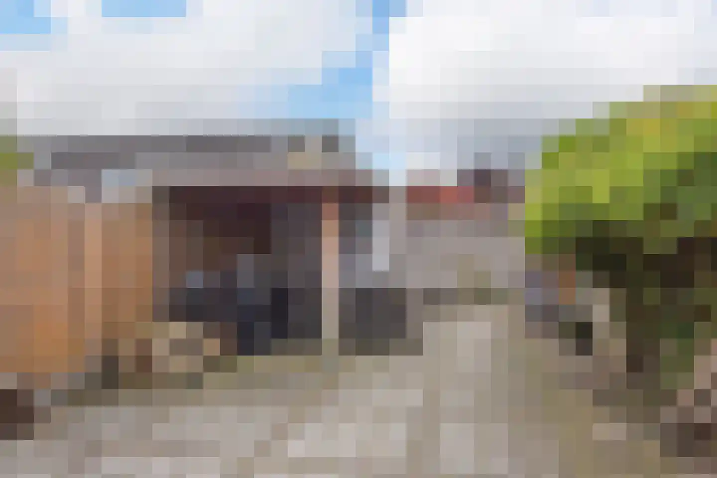 Blauwe Zegge 56 Wilnis thumbnail 24