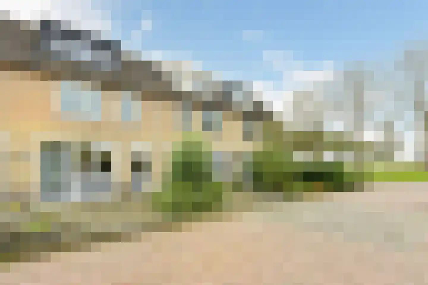Blauwe Zegge 56 Wilnis thumbnail 25