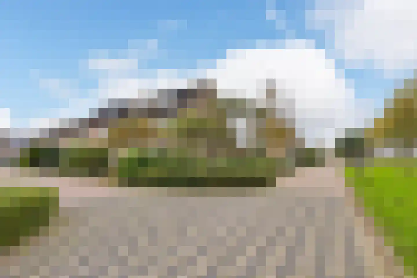 Blauwe Zegge 56 Wilnis thumbnail 26