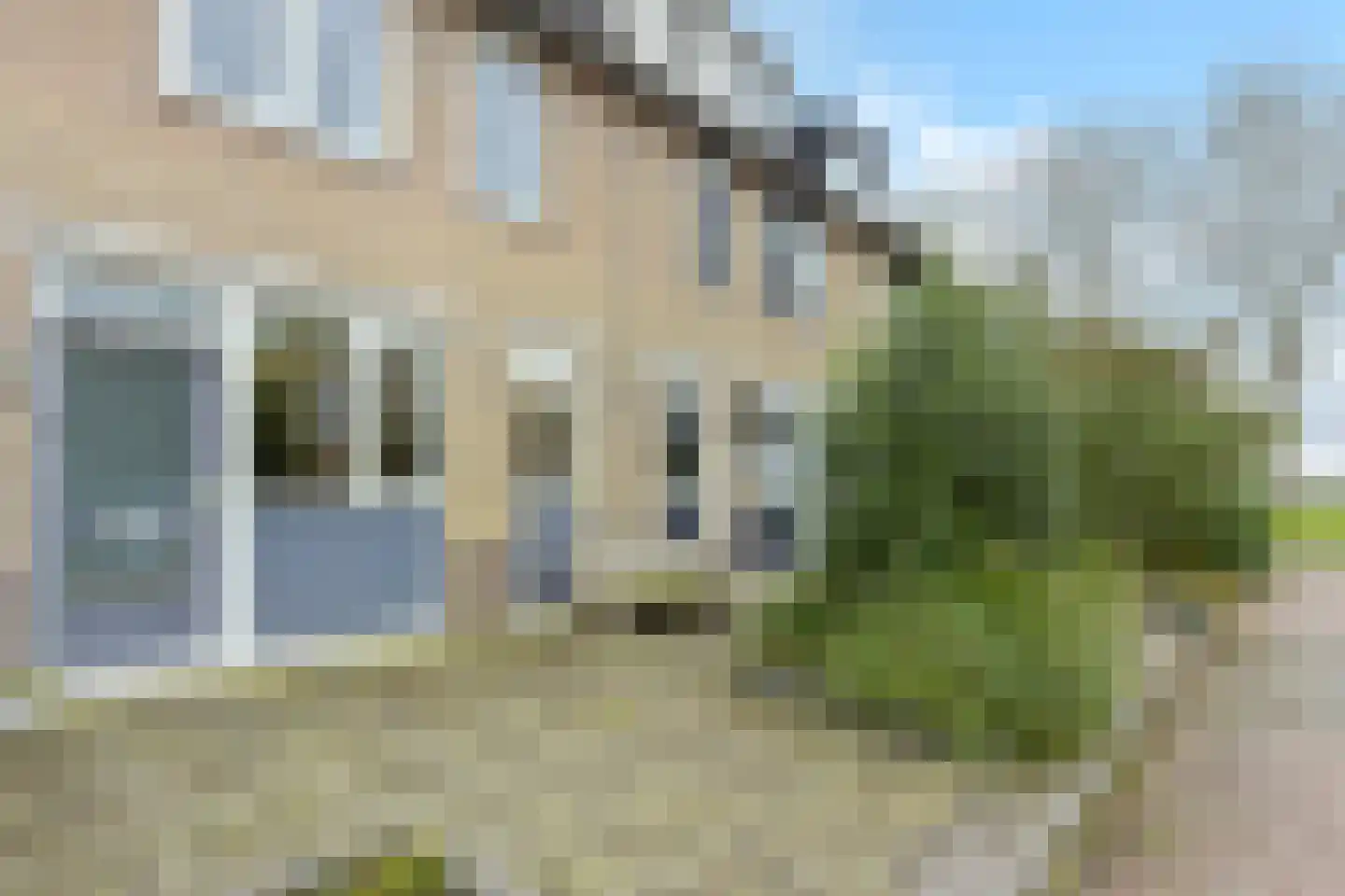 Blauwe Zegge 56 Wilnis thumbnail 5