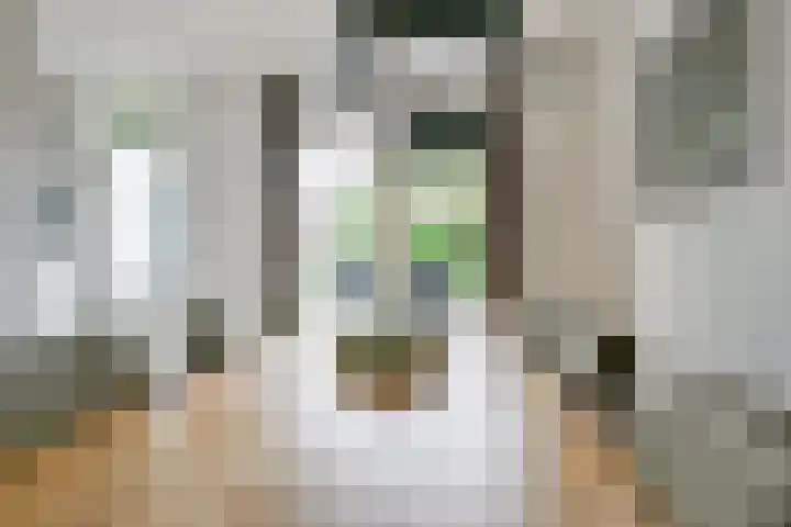 Blauwebalg 10 Wieringerwerf thumbnail 11