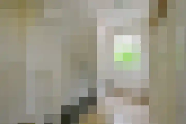 Blauwebalg 10 Wieringerwerf thumbnail 12