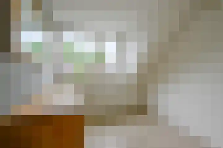 Blauwebalg 10 Wieringerwerf thumbnail 15