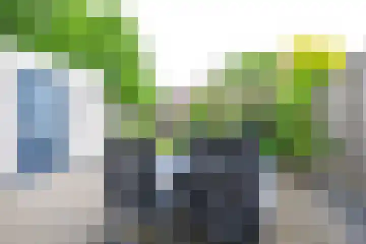 Blauwebalg 10 Wieringerwerf thumbnail 22